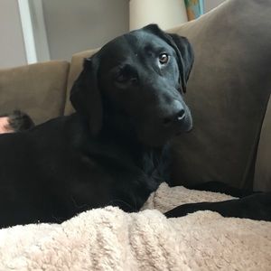 Meet your Posher, Marleemarlee